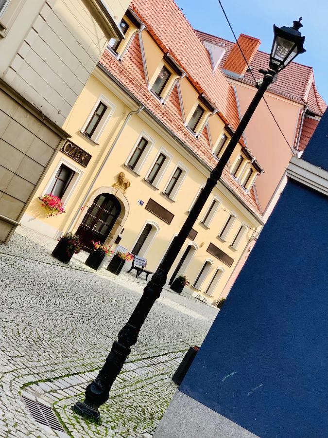Hotel, Apartament Pod Zlotym Lwem W Samym Centrum Miasta Z Darmowym Parkingiem VII Kłodzko Exteriör bild